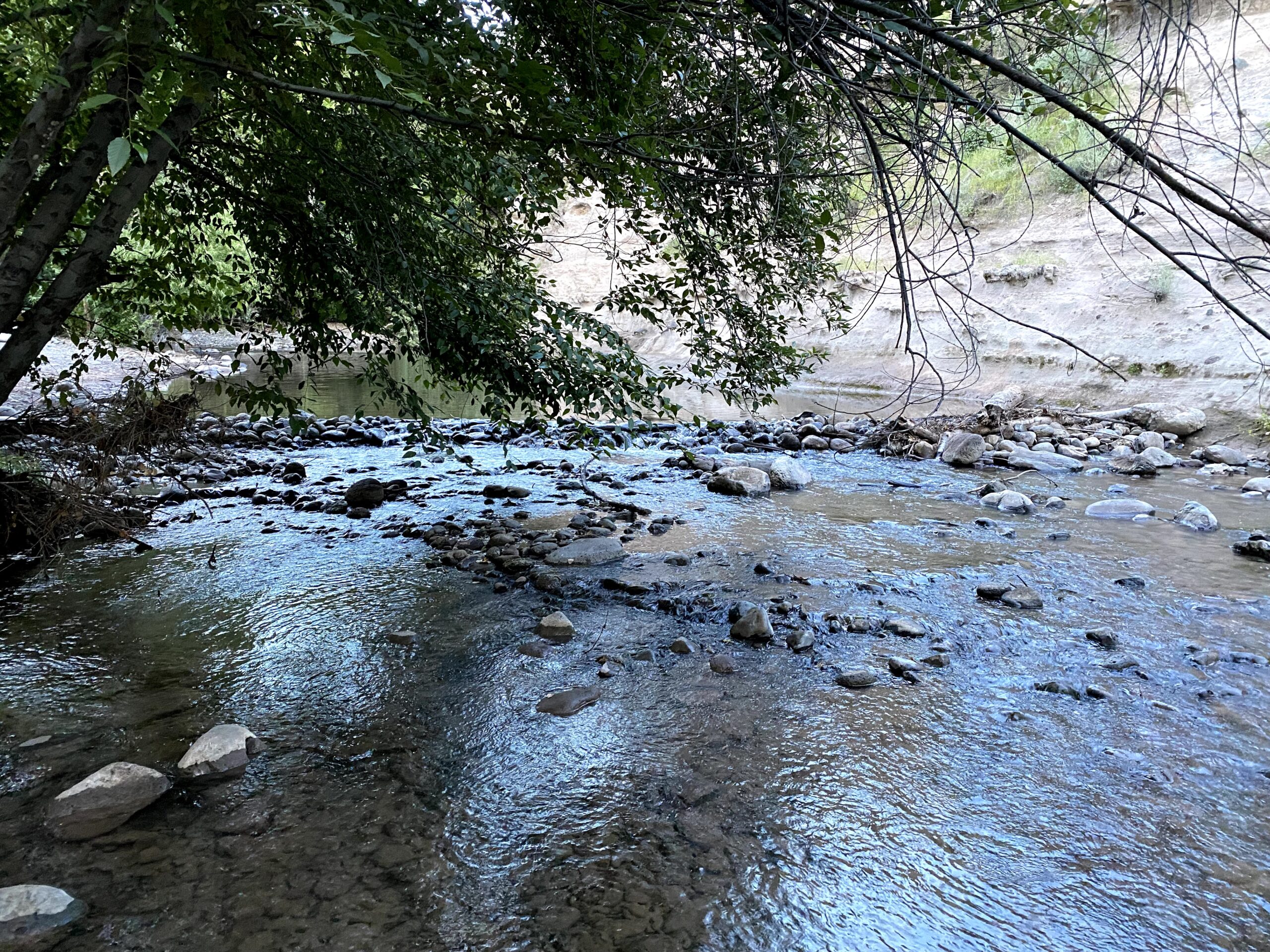 West Clear Creek at Clear Creek Campground in Camp Verde AZ